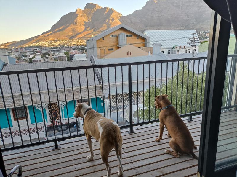 To Let 3 Bedroom Property for Rent in Bo Kaap Western Cape